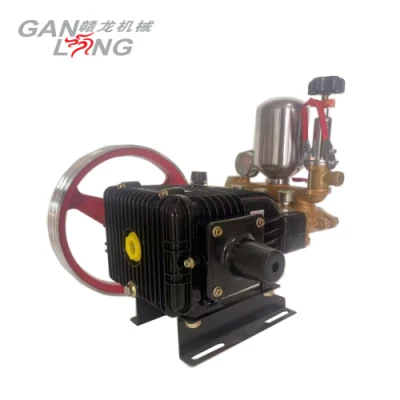 Portable Agricultural 4 Stroke Gasoline Petrol Motor Engine Power Sprayer Pump