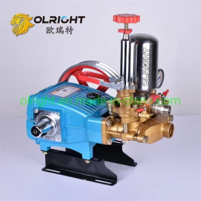 22/30bar Gasoline Plunger Pump for Power Sprayer High Pressure