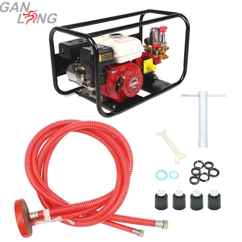 Agricultural 4 Stroke Gasoline Motor Engine Power Spray Sprayer Pump Pumps