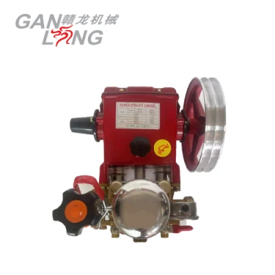 6.5HP Gasoline Engine Agricultural Pesticide Power Sprayer Pumps