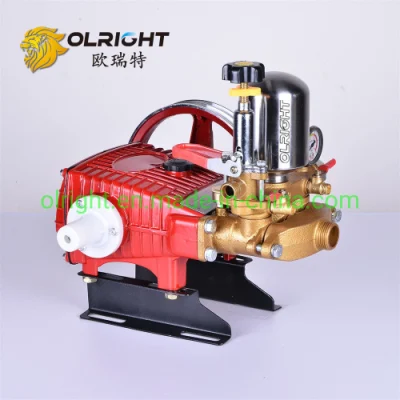 30bar High Pressure Gasoline Plunger Pump for Power Sprayer