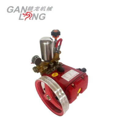 30model Power Sprayer Plunger Pump Heavy Duty Pump