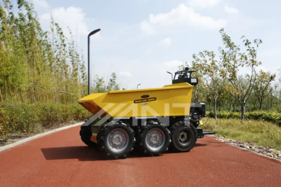 China Power Barrow/Muck Truck/Mini Dumper/Mini Loader By1000 with Ce