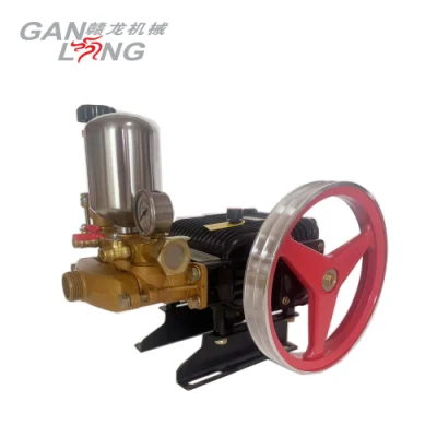 Agricultural 4 Stroke 5.5HP Gasoline Petrol Motor Engine Power Spray Sprayer Pump Pumps