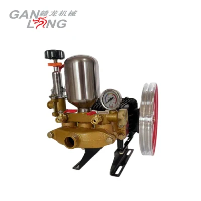 Agricultural 6.5HP Gasoline Petrol Engine Power Sprayer Three Plunger Pump